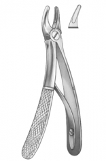 Extracting Forceps English pattern