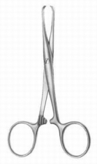 Organ Grasping Forceps