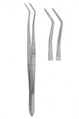 Dental Tweezers