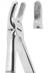 Extracting Forceps English pattern