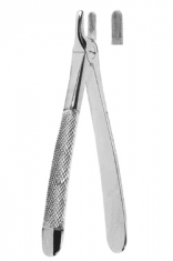 Extracting Forceps English pattern