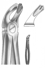 Extracting Forceps English