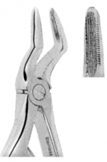 Extracting Forceps American pattern